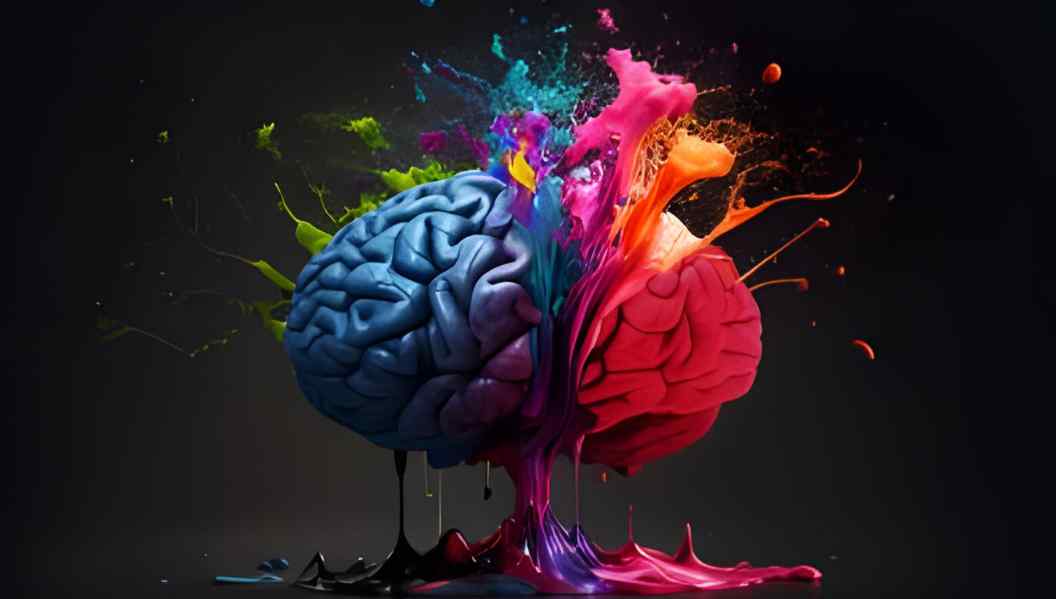 mind blowing facts about the human brain