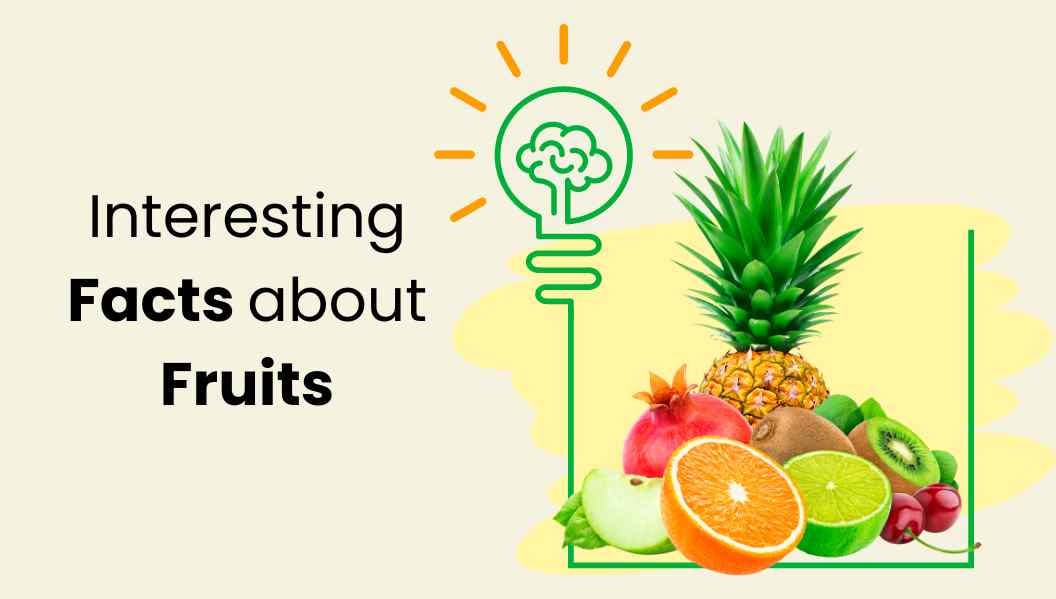 interesting facts about fruits