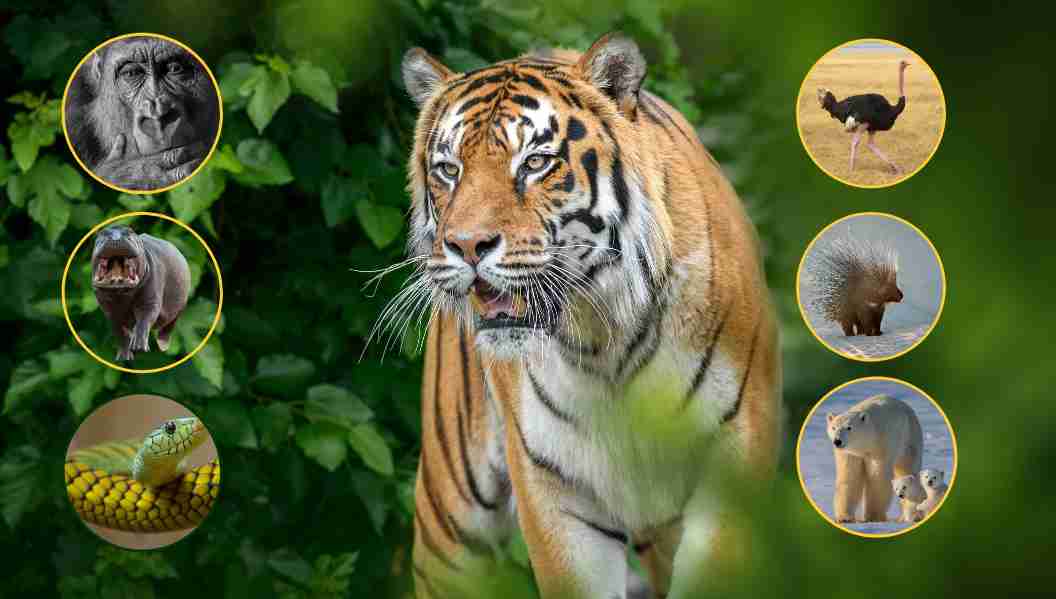 mind-blowing facts from the animal kingdom