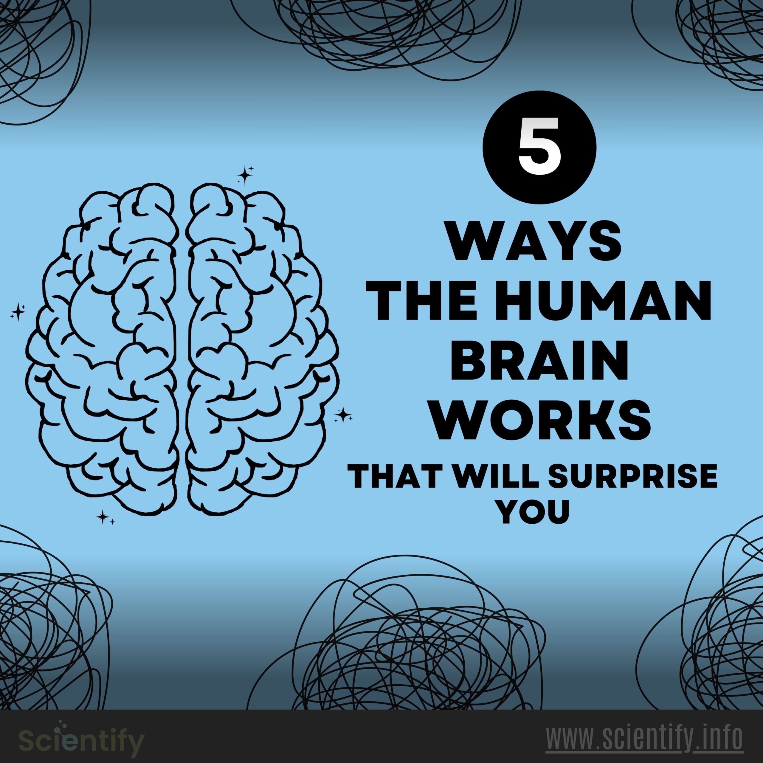 Image showing the picture of a human brain and the title of the blog.