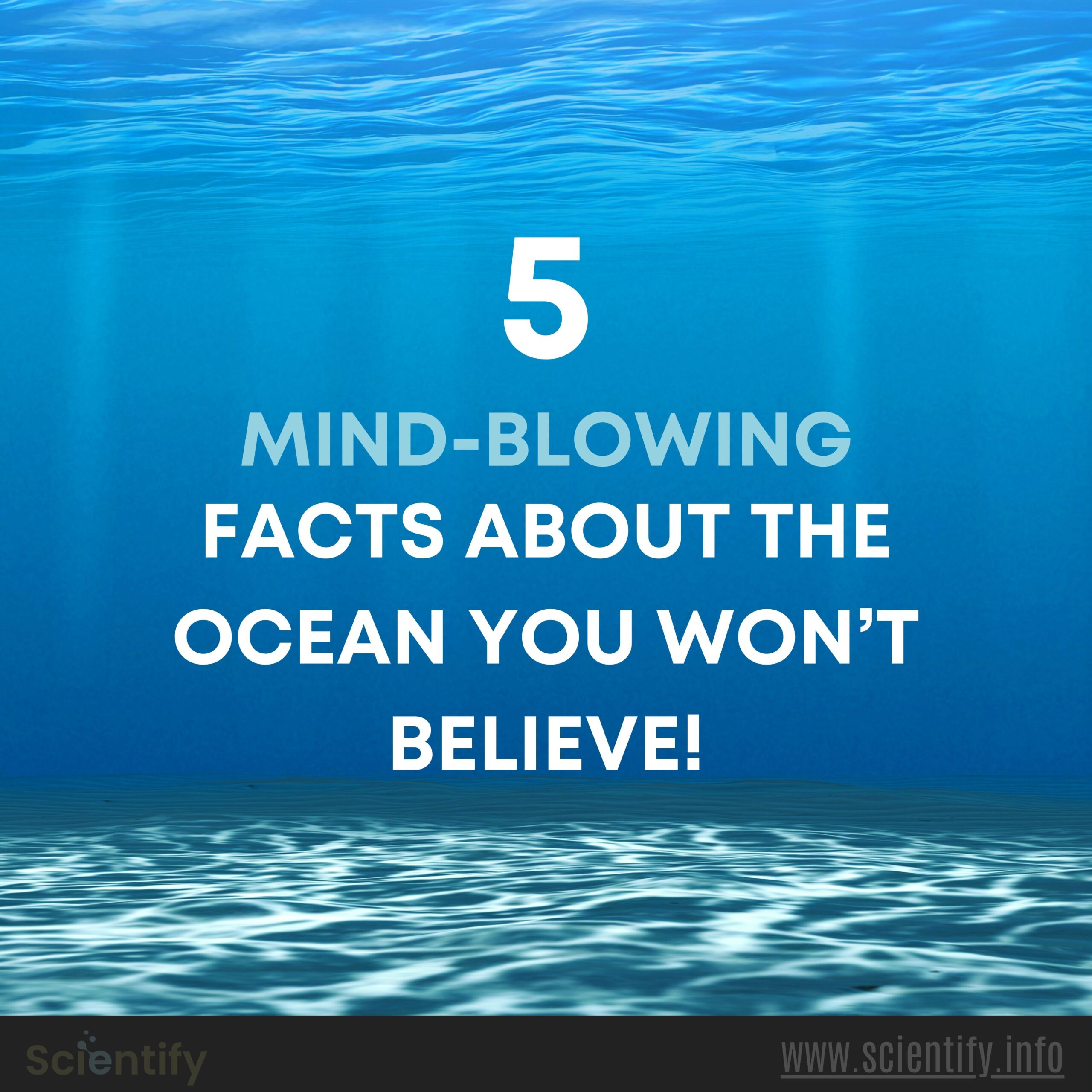 Image showing ocean and the tiltle of the article facts about the ocean.