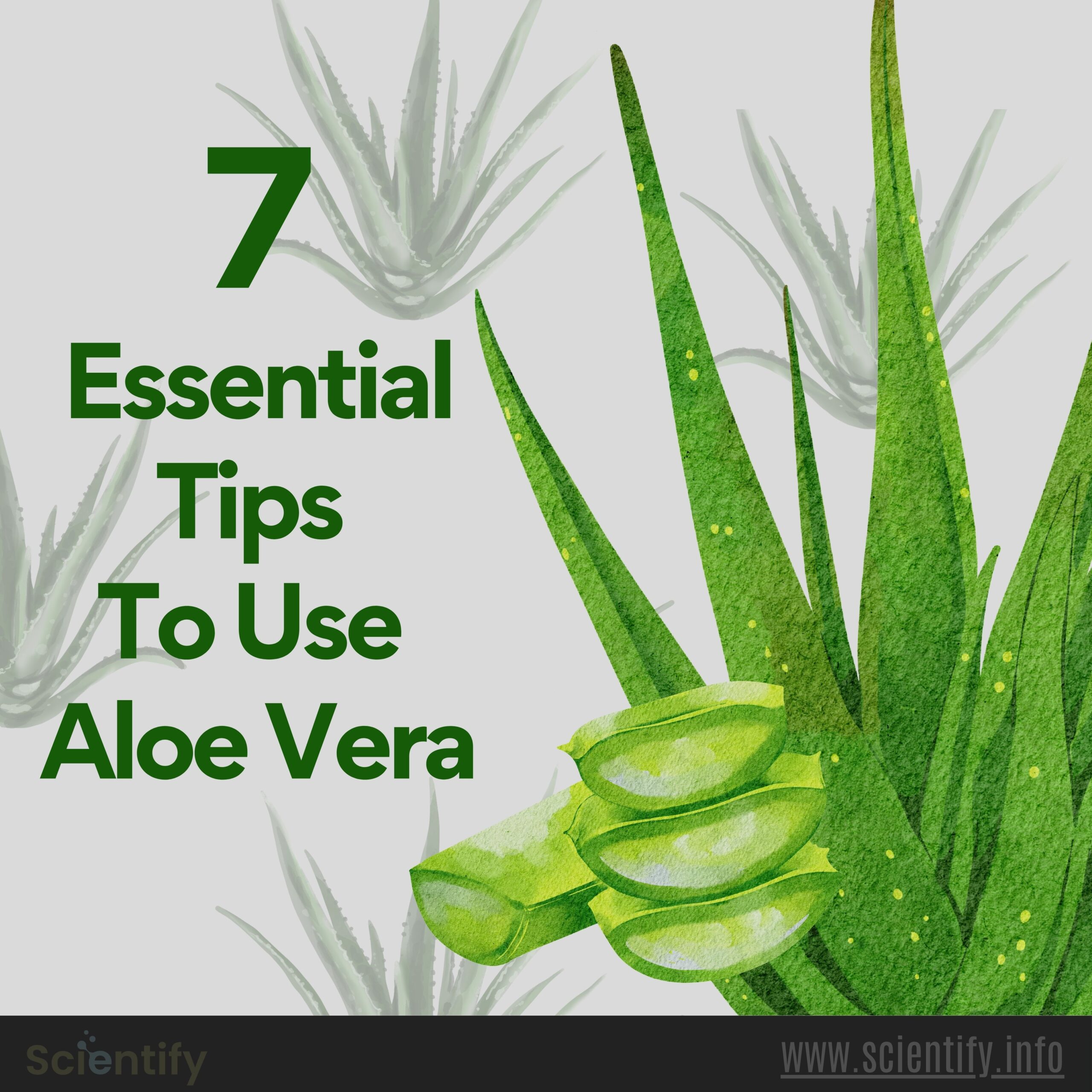 Image showing aloe vera and the title of the article.