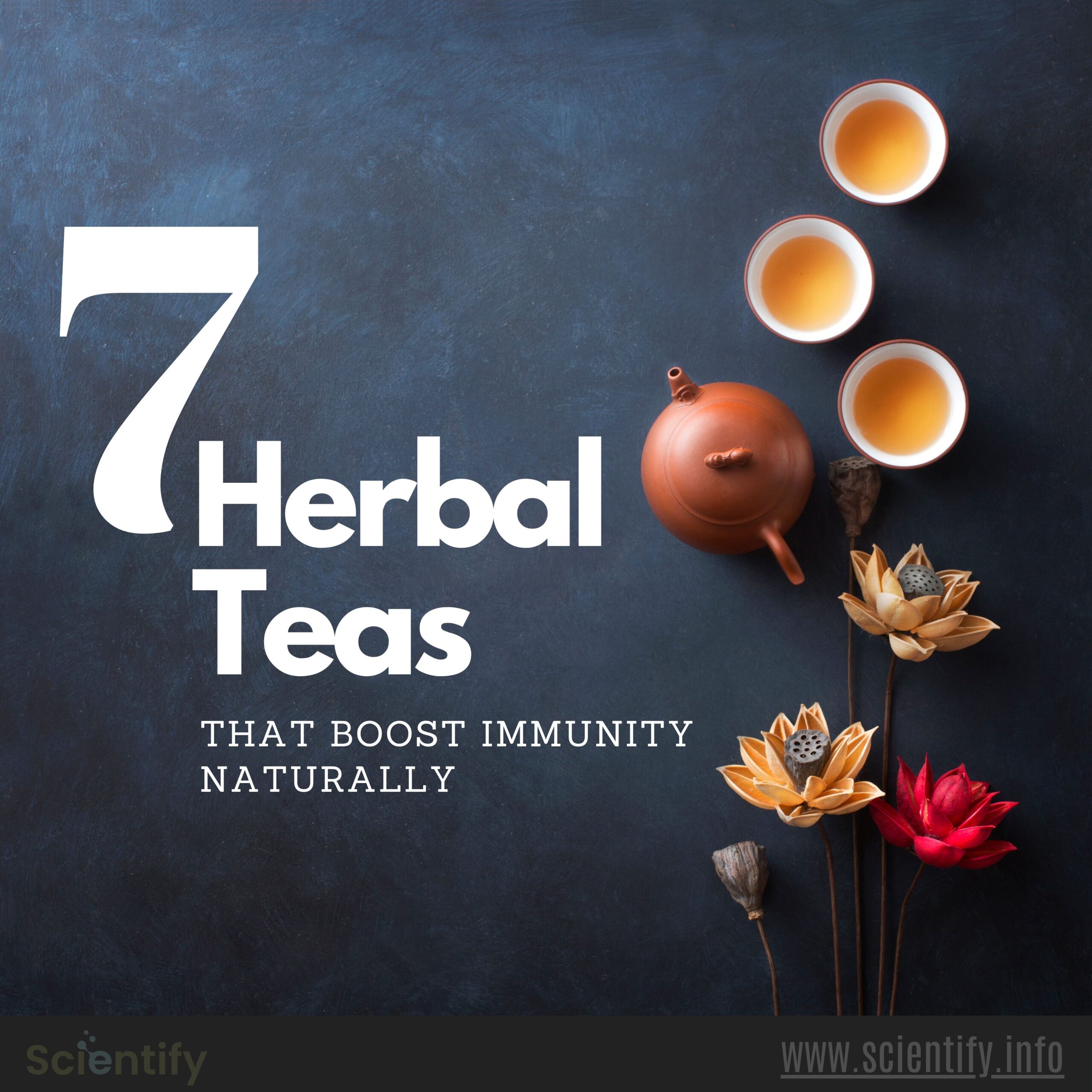 Image showing herbal teas.